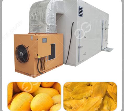 machine for drying fruits|Commercial Mango Fruit Drying Dehydrator Machine.